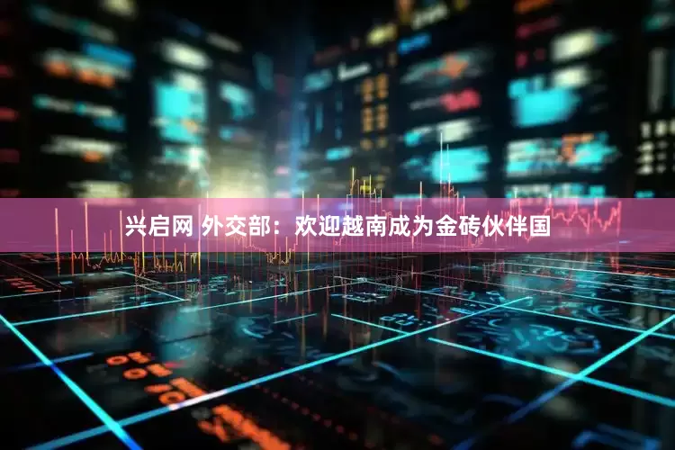 兴启网 外交部：欢迎越南成为金砖伙伴国