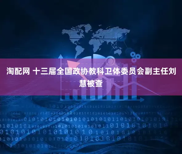 淘配网 十三届全国政协教科卫体委员会副主任刘慧被查