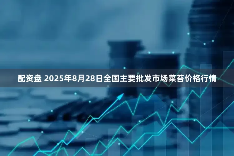 配资盘 2025年8月28日全国主要批发市场菜苔价格行情